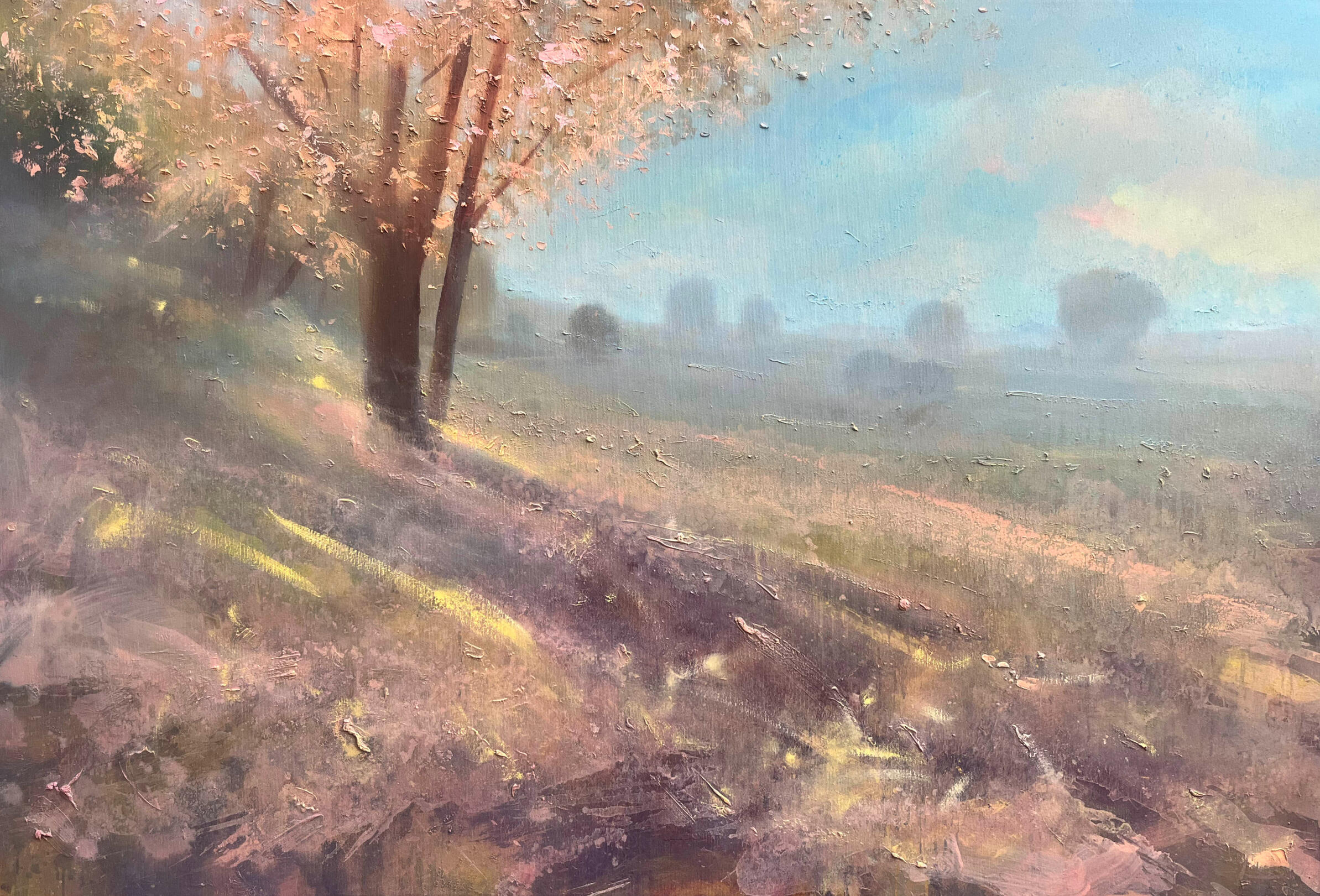FIELD WITH BLOSSOM 04 oil on canvas 80x120cm – $1950 / ₪6,500